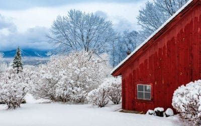 Infinity Tapes Newsletter Winter 2020 Edition